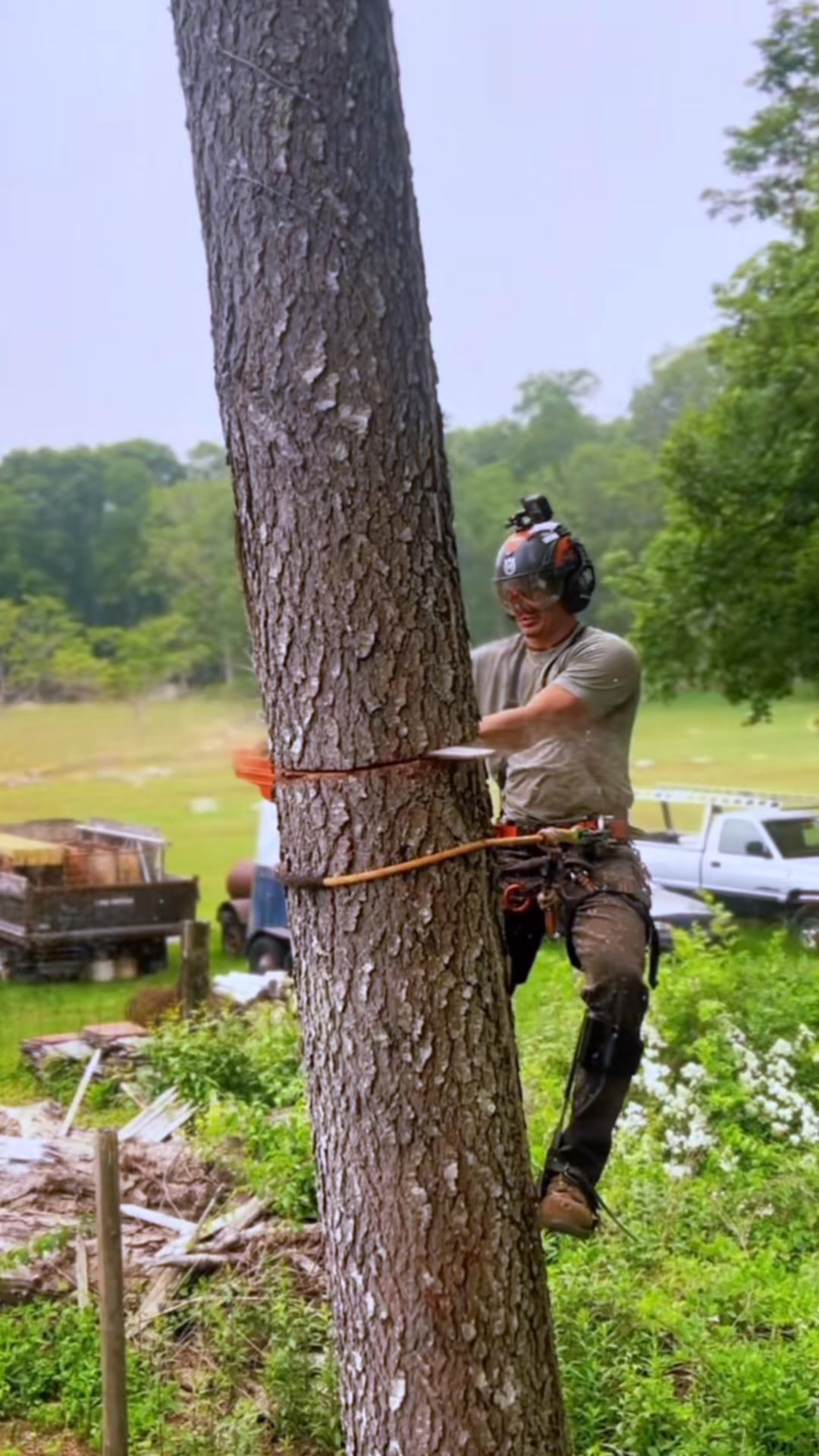 C&O Tree Services crew member cutting a tree trunk outdoors